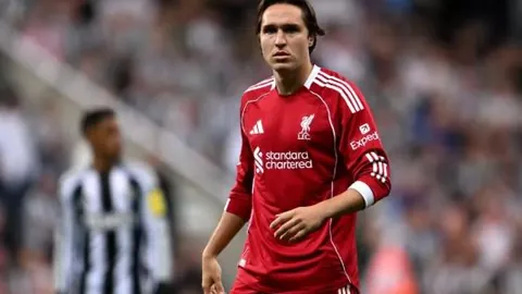 廷伯确认十字韧带受损，短期内无缘赛场