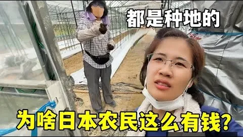 中国足协杯在线直播平台